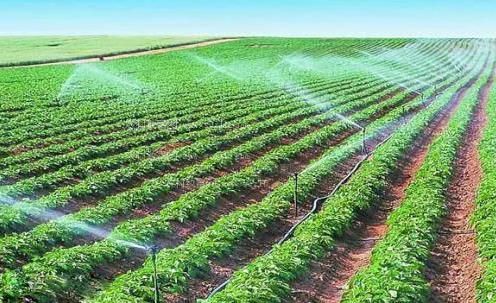 肏逼日屌农田高 效节水灌溉